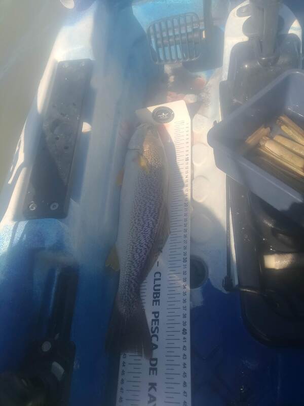 Fish Measure Picture
